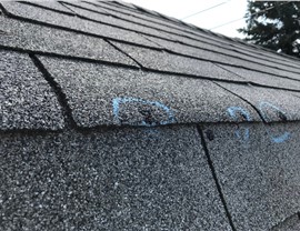 Storm Damage Photo 24