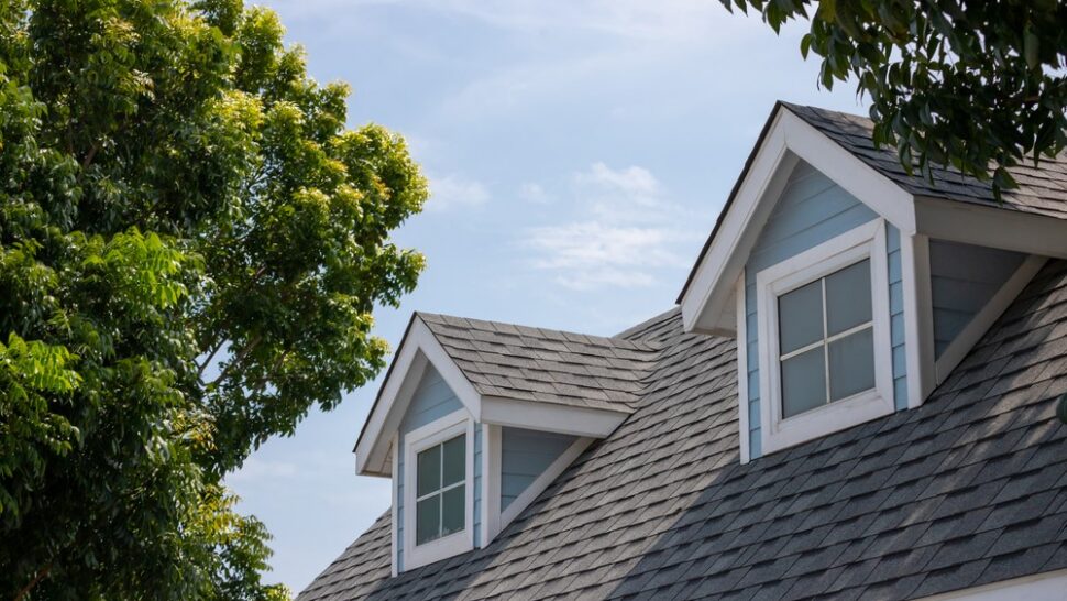 Roof Types Photo 94