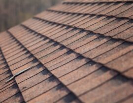 Roof Types Photo 18